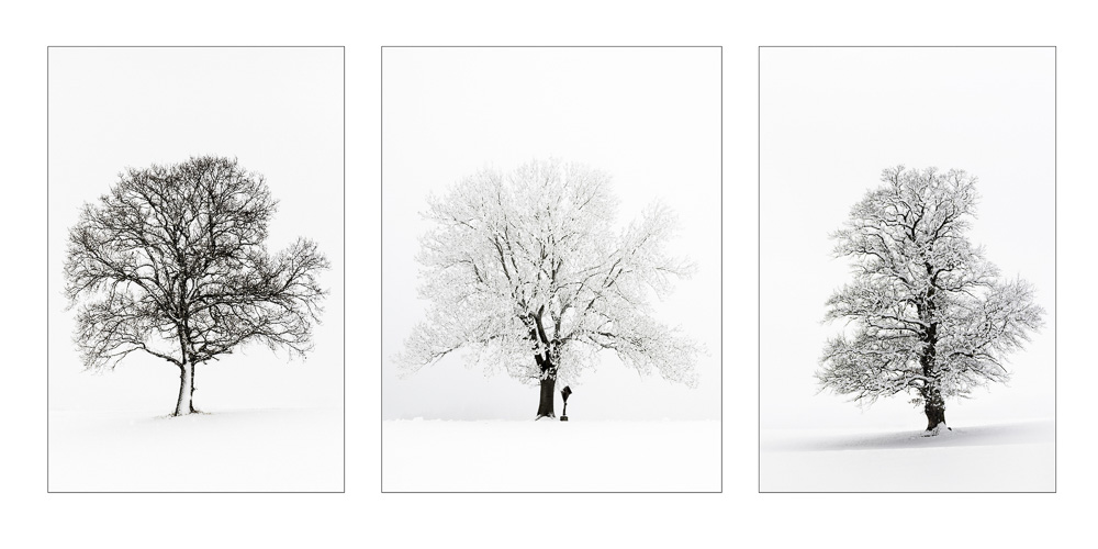 9. Platz Robert Seitz